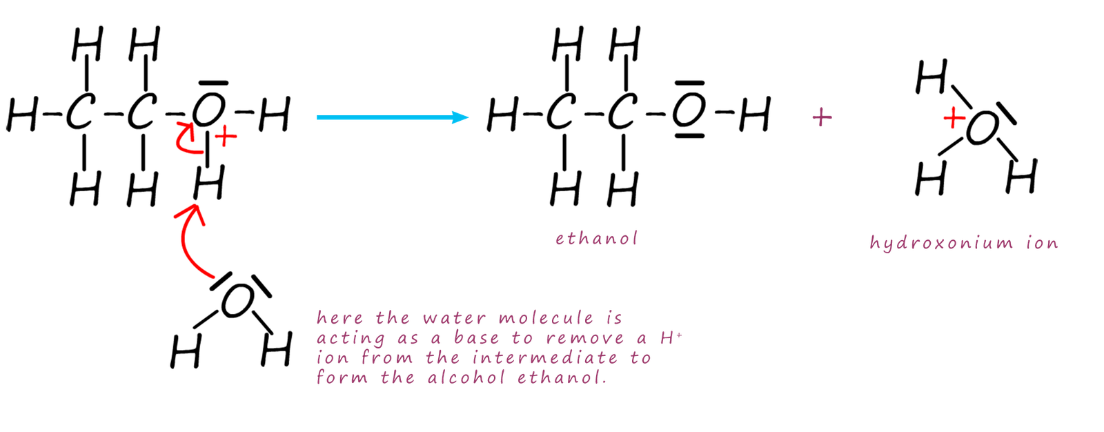 The mechanism for the hydrolysis of a halogenalkane by water.